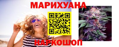крисы Краснознаменск