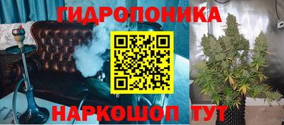 крисы Краснознаменск