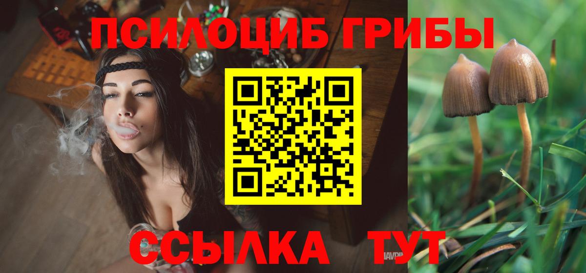 Псилоцибиновые грибы Psilocybe  Вход с VPN  Каспийск 